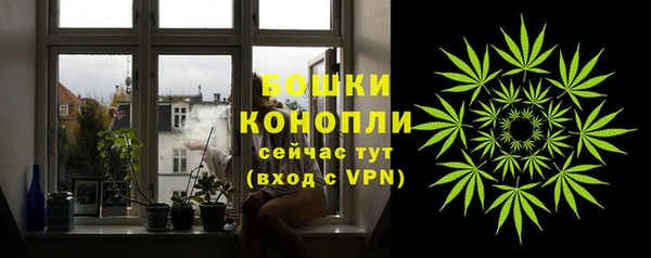 дживик Карпинск