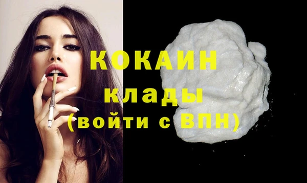дживик Карпинск