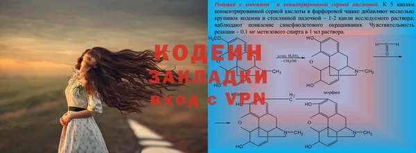 дживик Карпинск