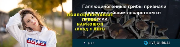 дживик Карпинск