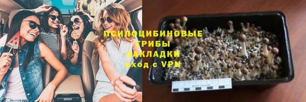 спайс Карталы