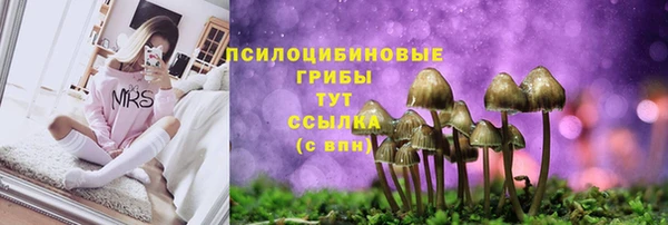 первитин Касимов
