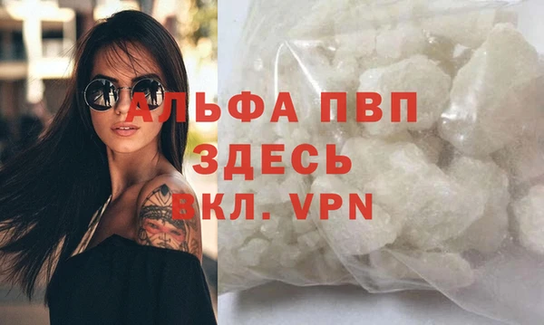 дживик Карпинск