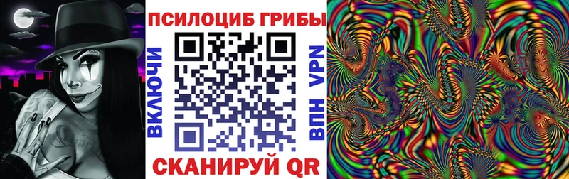 Купить закладки  Вытегра  Галлюциногенные грибы Psilocybe 